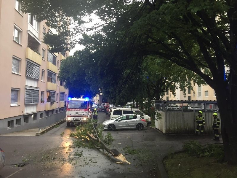 Sturm über Villach (Bild 2)